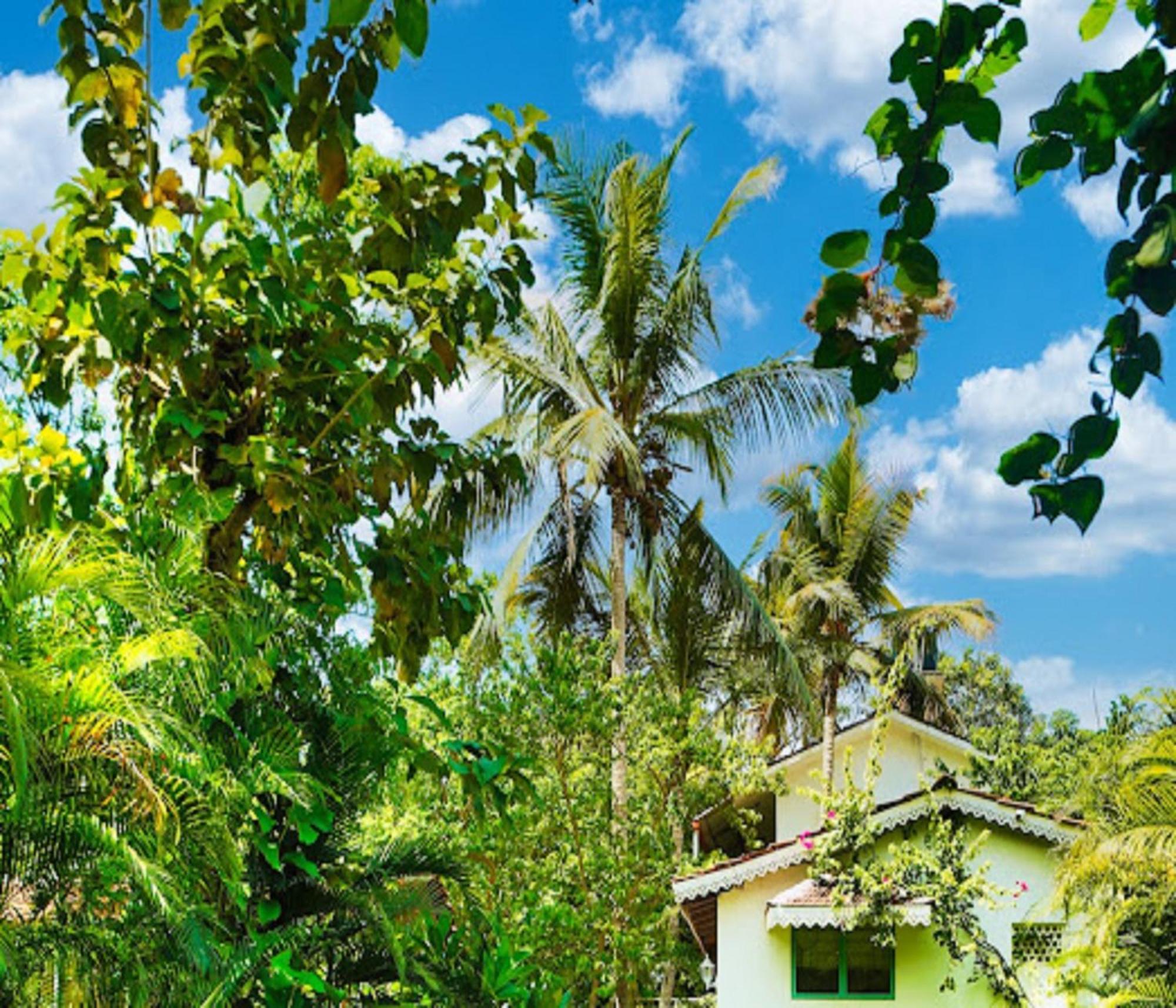 Lar Amorosa Boutique Hotel - Goa Calangute Esterno foto